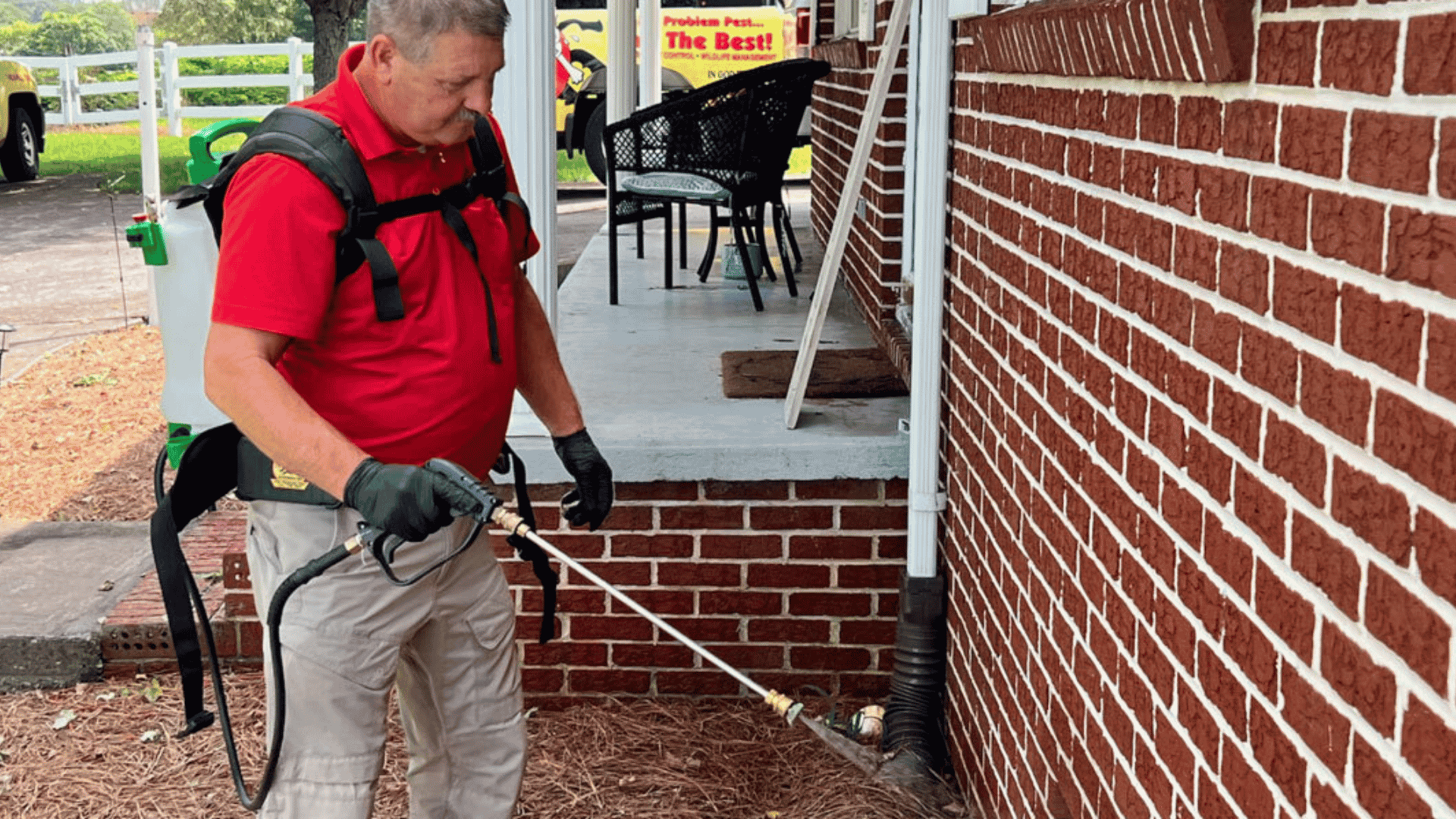 Pest Control in Elkin, NC