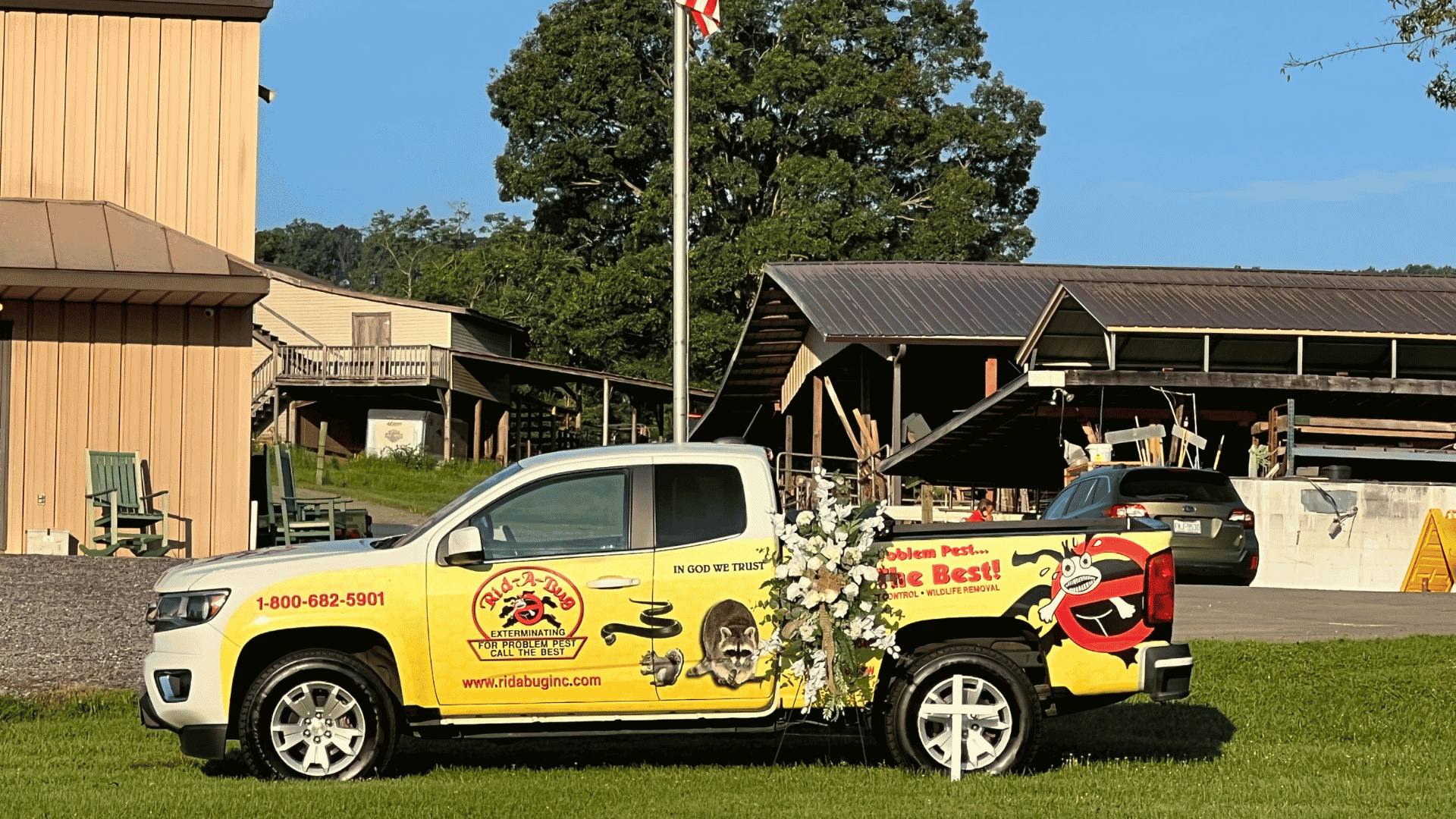 Pest Control in Millers Creek, NC