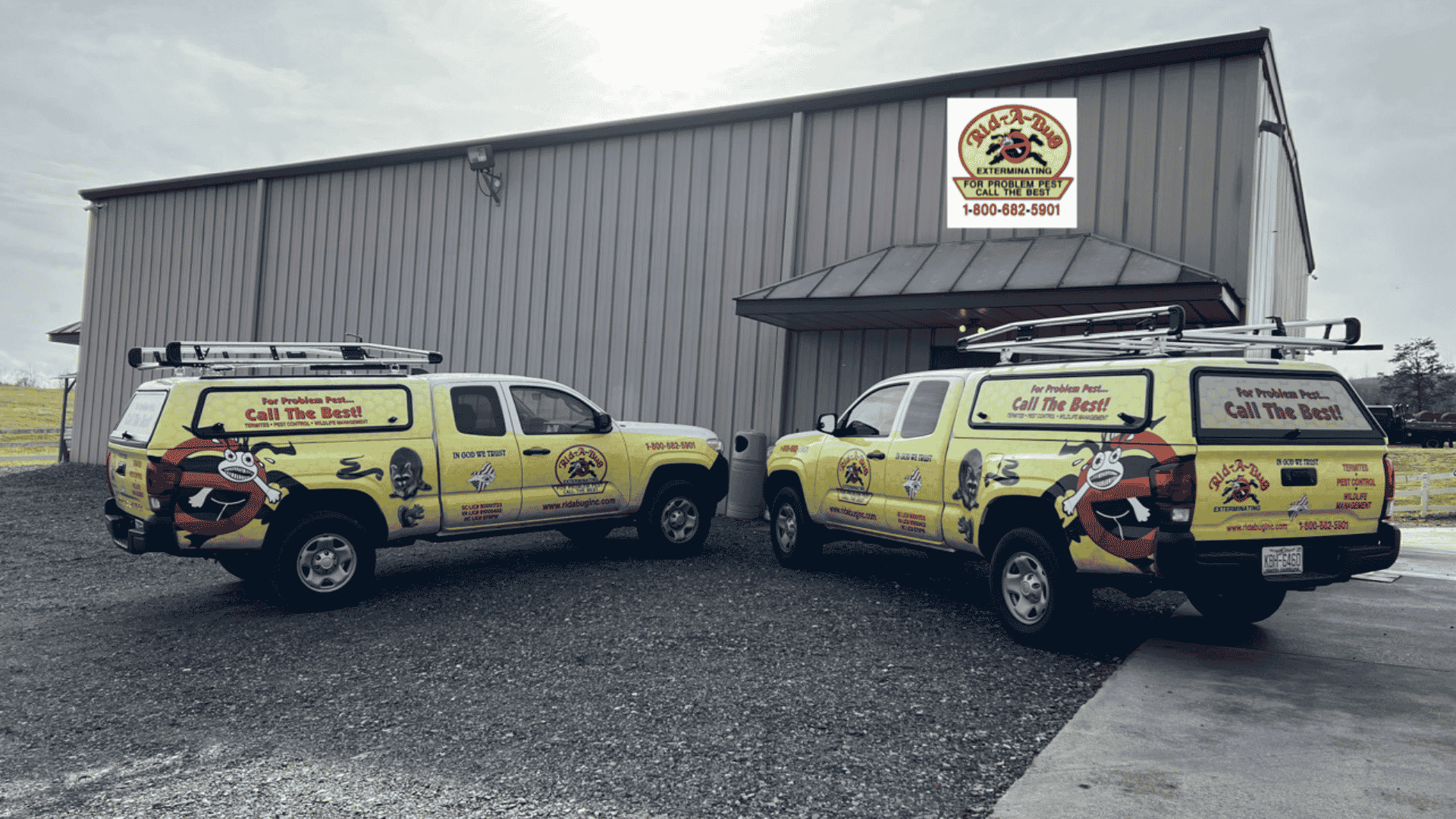 Pest Control in West Jefferson, NC