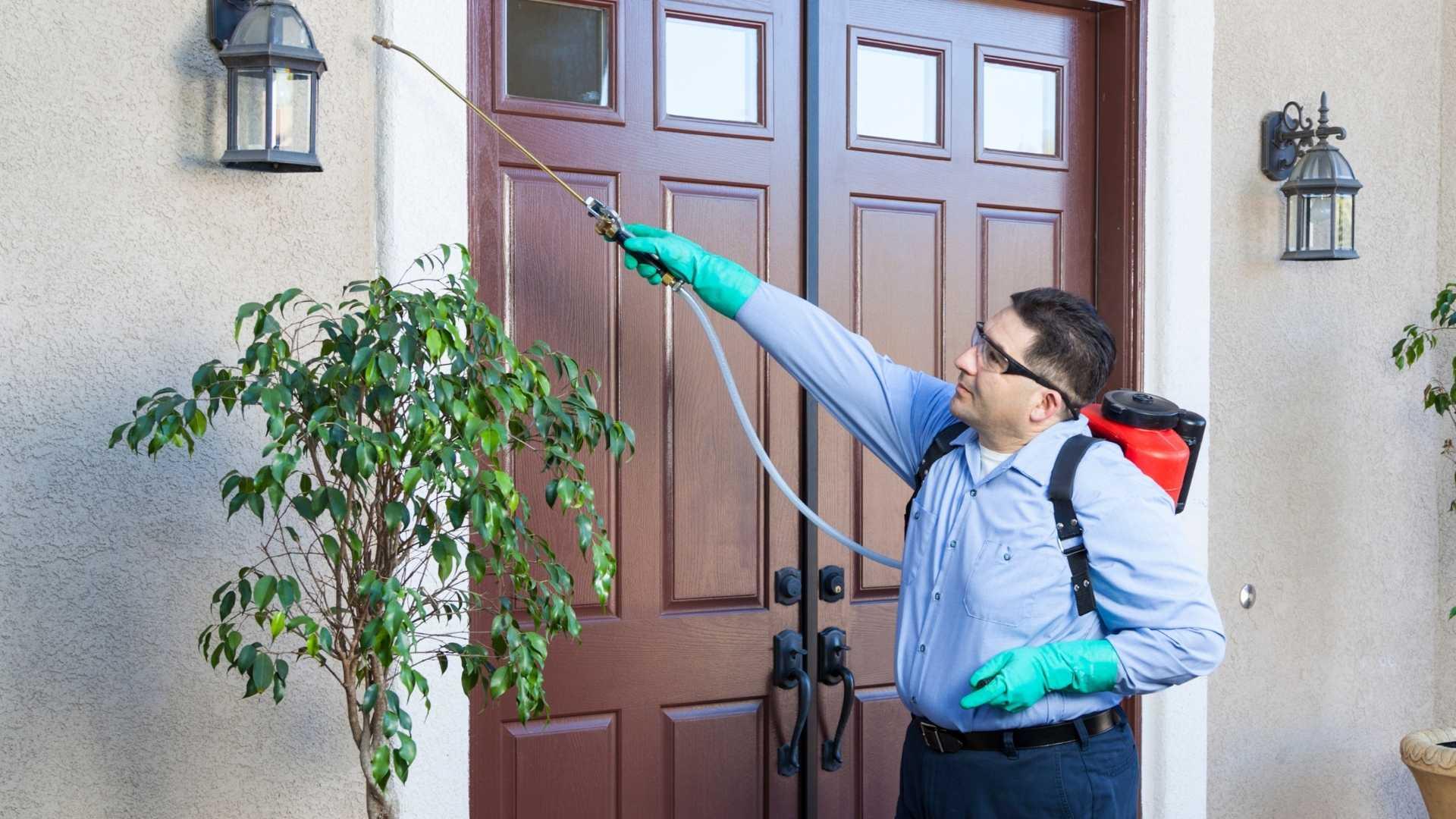 Pest Control in Newton